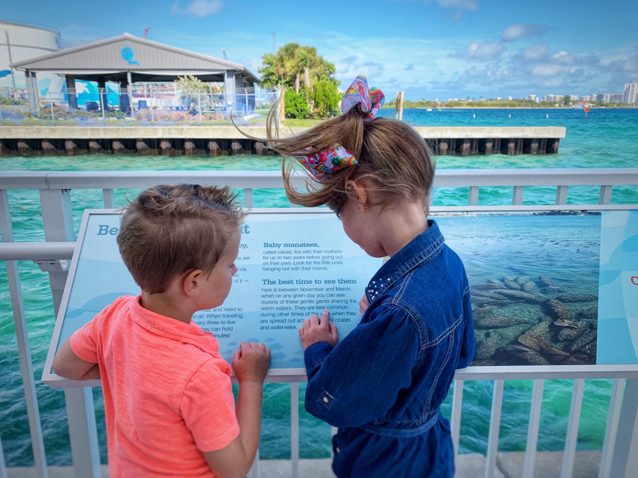 Visit Manatee Lagoon in West Palm Beach • Christina All Day