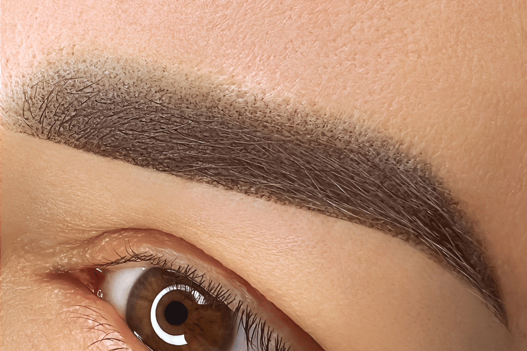 9 Best Concealer for Eyebrows • Christina All Day