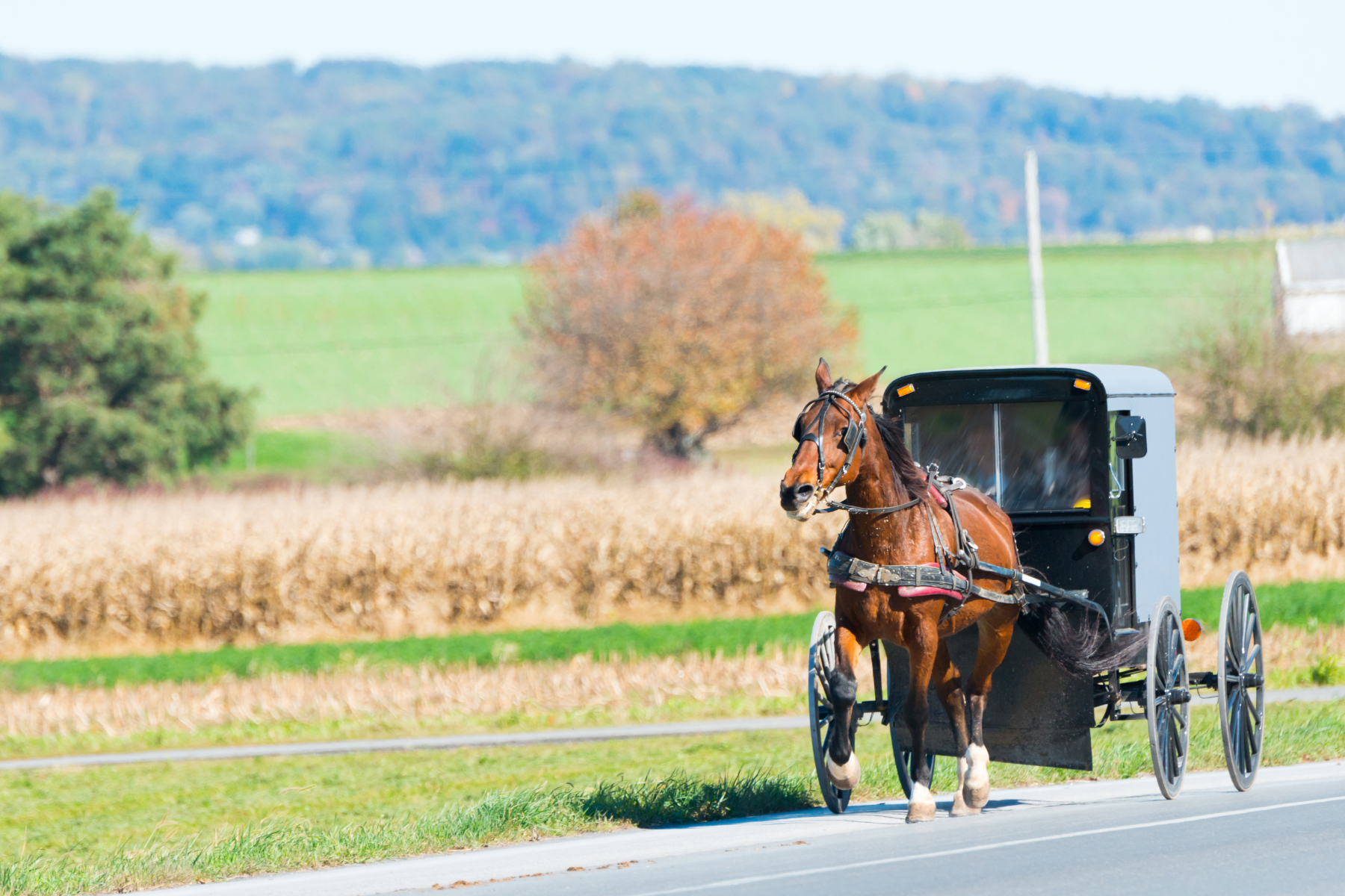 visiting amish country in ohio