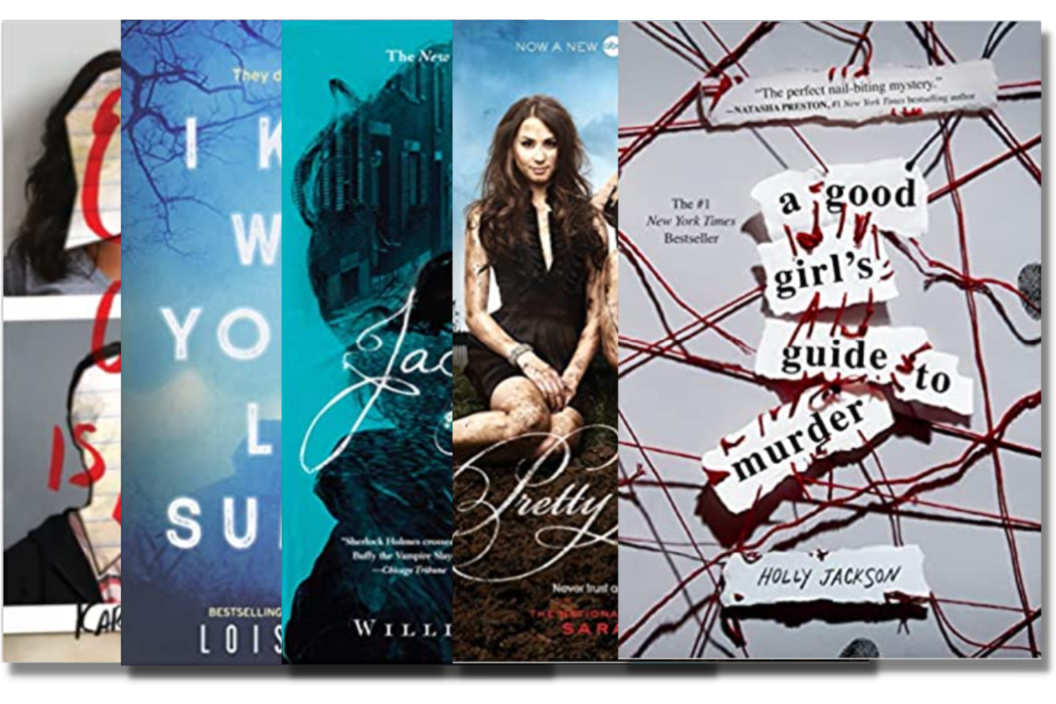 10-best-ya-mystery-books-for-teens-christina-all-day