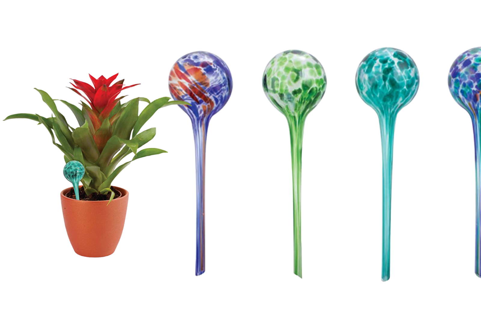 How to Use the Best Water Bulbs for Indoor Plants • Christina All Day