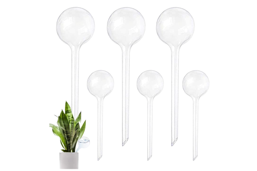 6 Piece Clear Plant Watering Bulbs
