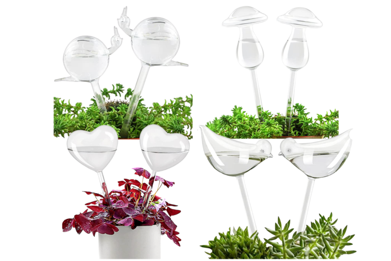 How to Use the Best Water Bulbs for Indoor Plants • Christina All Day