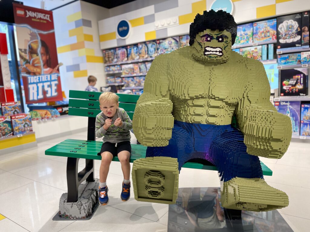The LEGO Store
